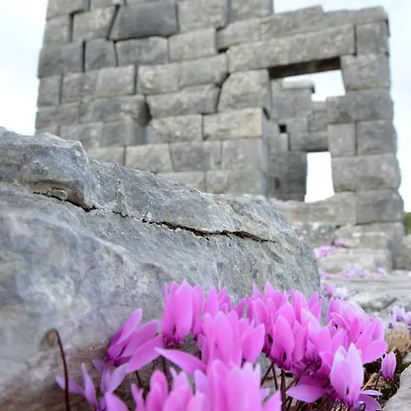 Messana Гостевой дом