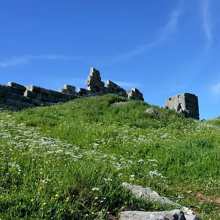 Gasthof Messana 3*