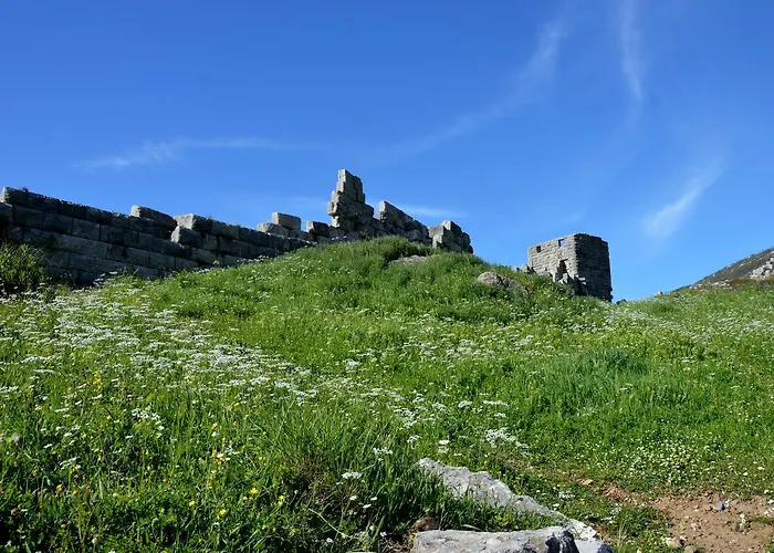 Vendégház Messana 3*