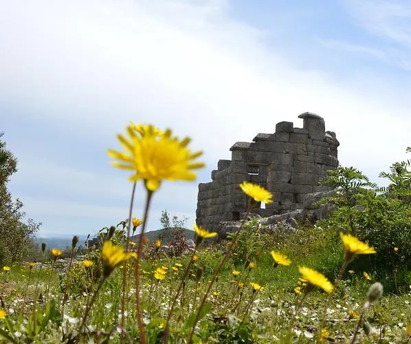 Messana Pensionat 3*